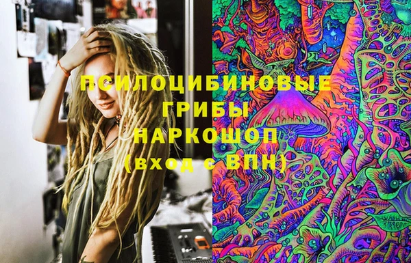 шишки Балабаново